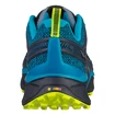 Herren-Outdoorschuhe Salewa  MS Dropline