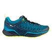 Herren-Outdoorschuhe Salewa  MS Dropline