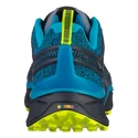 Herren-Outdoorschuhe Salewa  MS Dropline