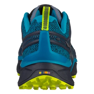 Herren-Outdoorschuhe Salewa  MS Dropline