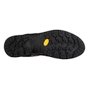 Herren-Outdoorschuhe Salewa  MS MTN Trainer 2 Gtx Black/Carrot