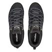 Herren-Outdoorschuhe Salewa MS MTN Trainer Lite GTX Black/Black