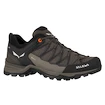 Herren-Outdoorschuhe Salewa  MS MTN Trainer Lite Gtx  Wallnut/Fluo Orange