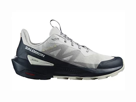 Herren-Outdoorschuhe Salomon ELIXIR ACTIV Glacier Gray/Carbon/Slate Green