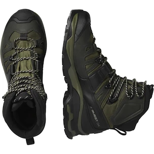 Herren-Outdoorschuhe Salomon Quest 4 Gore-Tex Olive Night/Peat/Safari  UK 9