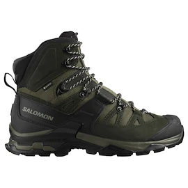 Herren-Outdoorschuhe Salomon Quest 4 Gore-Tex Olive Night/Peat/Safari