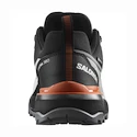 Herren-Outdoorschuhe Salomon  X ULTRA 360 GTX Quiet Shade/Black/Spice Route