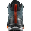 Herren-Outdoorschuhe Salomon X ULTRA 4 MID GTX Stargazer/Black/S