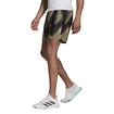Herren Shorts adidas  Printed Short 7'' Primeblue Orbit Green