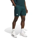 Herren Shorts adidas  Tennis Climacool Ergo Shorts Aurora Ivy