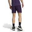Herren Shorts adidas  Tennis Climacool Ergo Shorts Purple