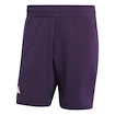Herren Shorts adidas  Tennis Climacool Ergo Shorts Purple