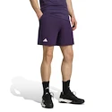 Herren Shorts adidas  Tennis Climacool Ergo Shorts Purple