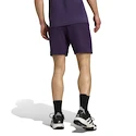 Herren Shorts adidas  Tennis Climacool Ergo Shorts Purple