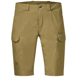 Herren Shorts Bergans Utne Olive Green