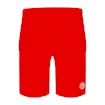 Herren Shorts BIDI BADU Henry 2.0 Tech Shorts Red