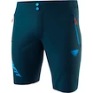 Herren Shorts Dynafit  Transalper Light DST Petrol