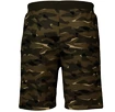 Herren Shorts Fanatics  Digi Camo NFL Oakland Raiders