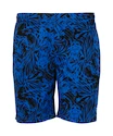 Herren Shorts FZ Forza  Luton M Shorts Olympian Blue XL