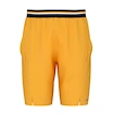 Herren Shorts Head  Performance Shorts Men BN