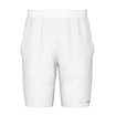 Herren Shorts Head  Performance Shorts Men WH