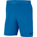 Herren Shorts Nike