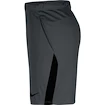 Herren Shorts Nike  Dri-FIT