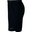 Herren Shorts Nike Flex Vent Max 2.0 Black