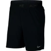 Herren Shorts Nike Flex Vent Max 2.0 Black