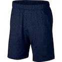 Herren Shorts Nike Hyper Dry LT Blue
