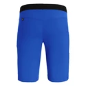 Herren Shorts  Salewa  Agner Light DST Electric