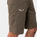 Herren Shorts  Salewa  Agner Light DST Electric