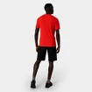 Herren Shorts  Salewa  Pedroc 3 DST M Cargo Shorts