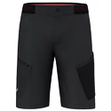 Herren Shorts Salewa  Pedroc 3 DST M Cargo Shorts