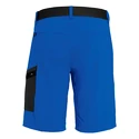 Herren Shorts  Salewa  Pedroc Cargo 2 Dst Electric