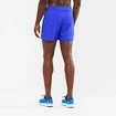 Herren Shorts Salomon