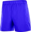Herren Shorts Salomon