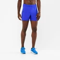 Herren Shorts Salomon