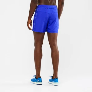 Herren Shorts Salomon