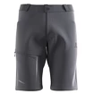 Herren Shorts Salomon  Wayfarer Shorts Ebony
