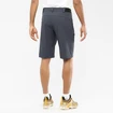 Herren Shorts  Salomon  Wayfarer Shorts Ebony