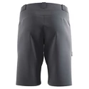 Herren Shorts Salomon  Wayfarer Shorts Ebony
