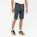 Herren Shorts Salomon  Wayfarer Shorts Ebony