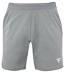 Herren Shorts Tecnifibre  Club Short Silver