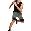 Herren Shorts Under Armour