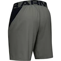 Herren Shorts Under Armour