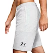 Herren Shorts Under Armour