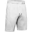 Herren Shorts Under Armour
