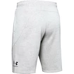 Herren Shorts Under Armour