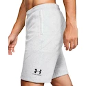 Herren Shorts Under Armour